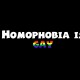 homophobia is gay